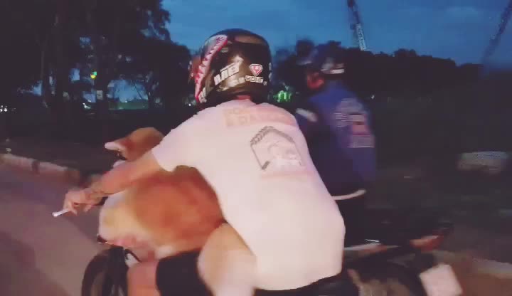 @Vũ Thanh