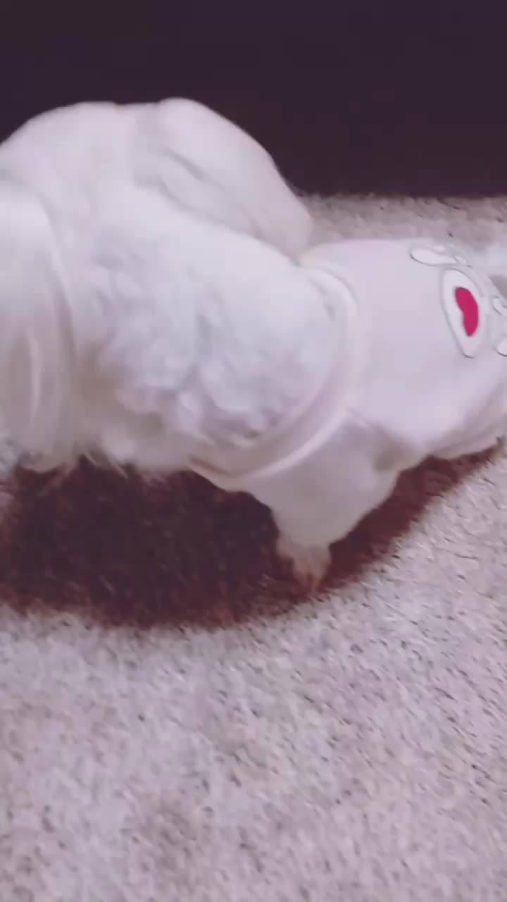 @사랑마이똥에리&hearts;&hearts;