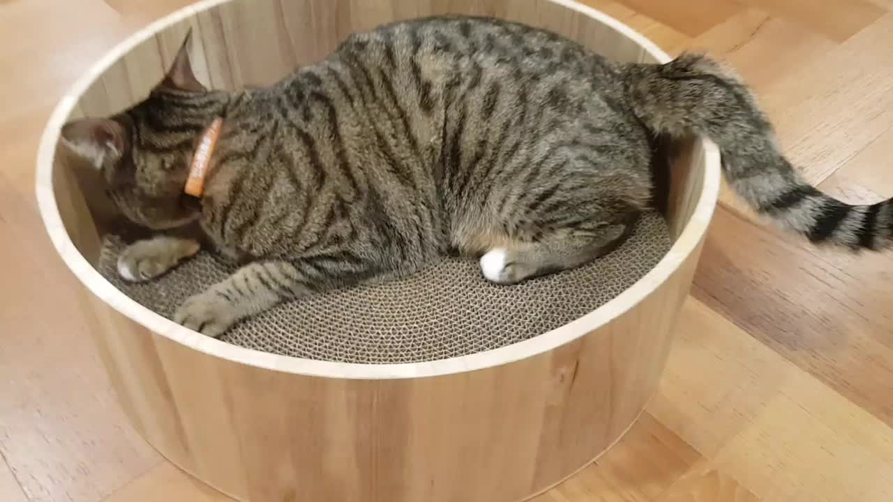 @만수루