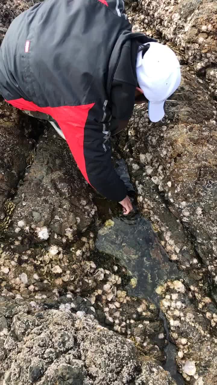 @デビルドラゴンズ