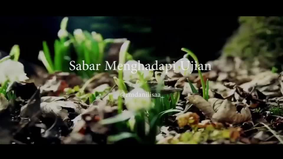 @ICHA __