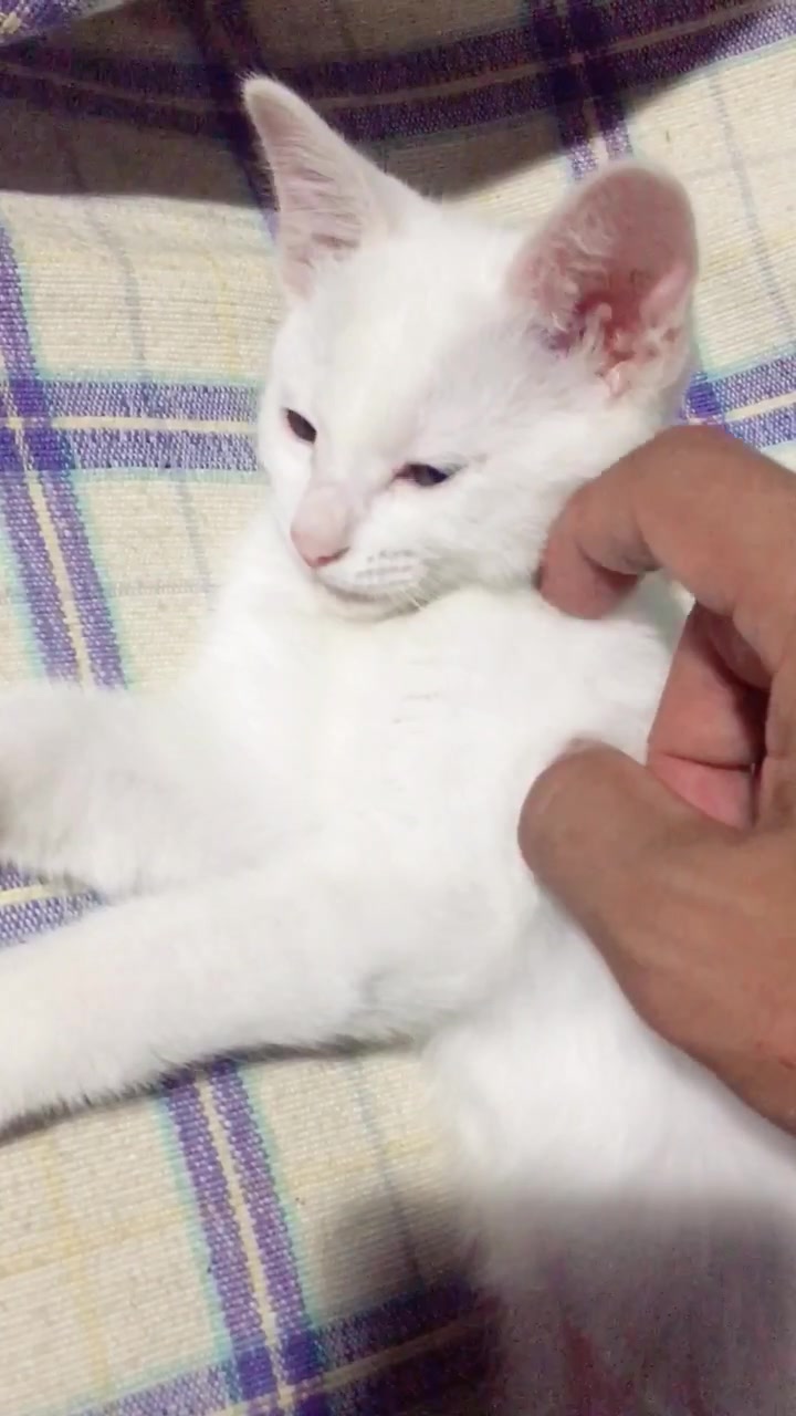 @ゼットン