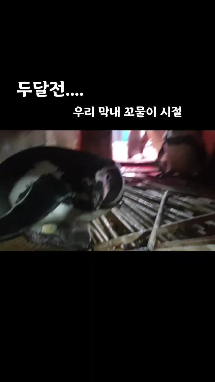 @수지큐