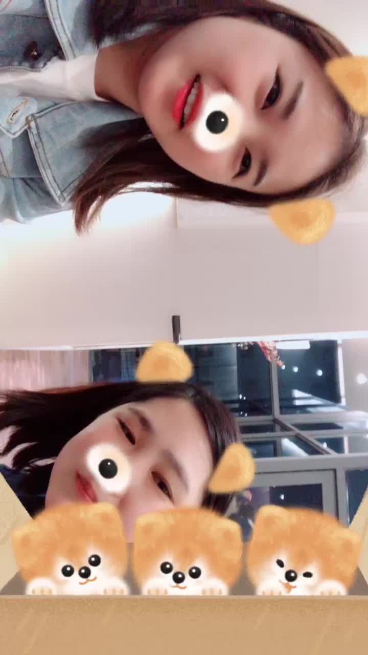 @라디오, 브이로그하는 곰순씨