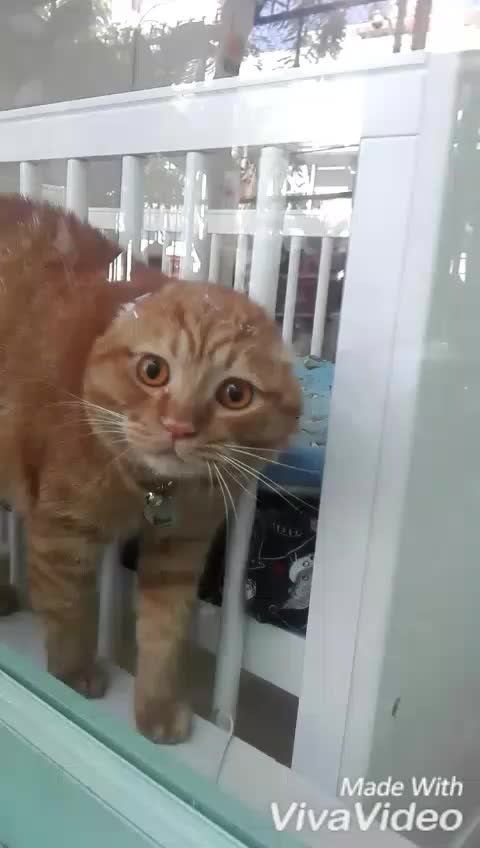 @Vũ Thanh