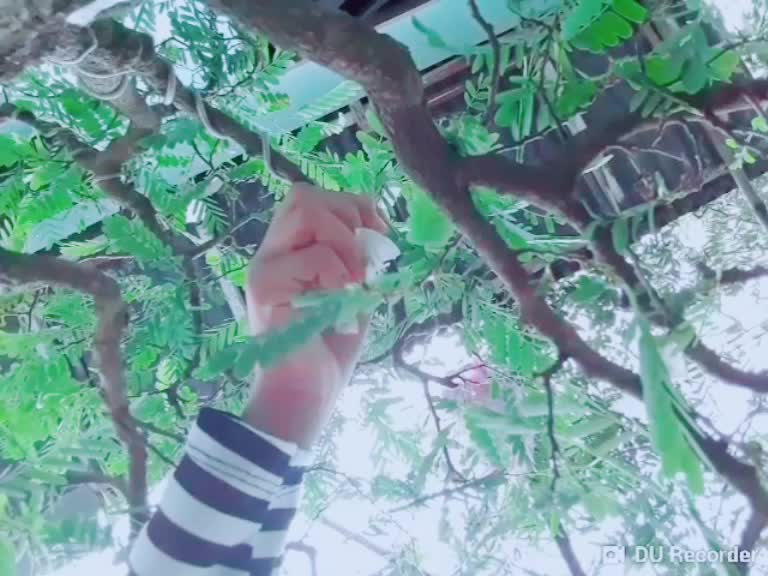 @Asya_a🐣