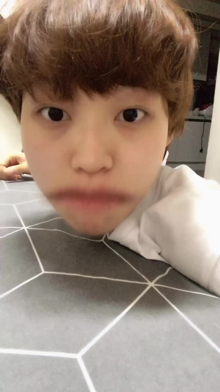 @고양이덕후