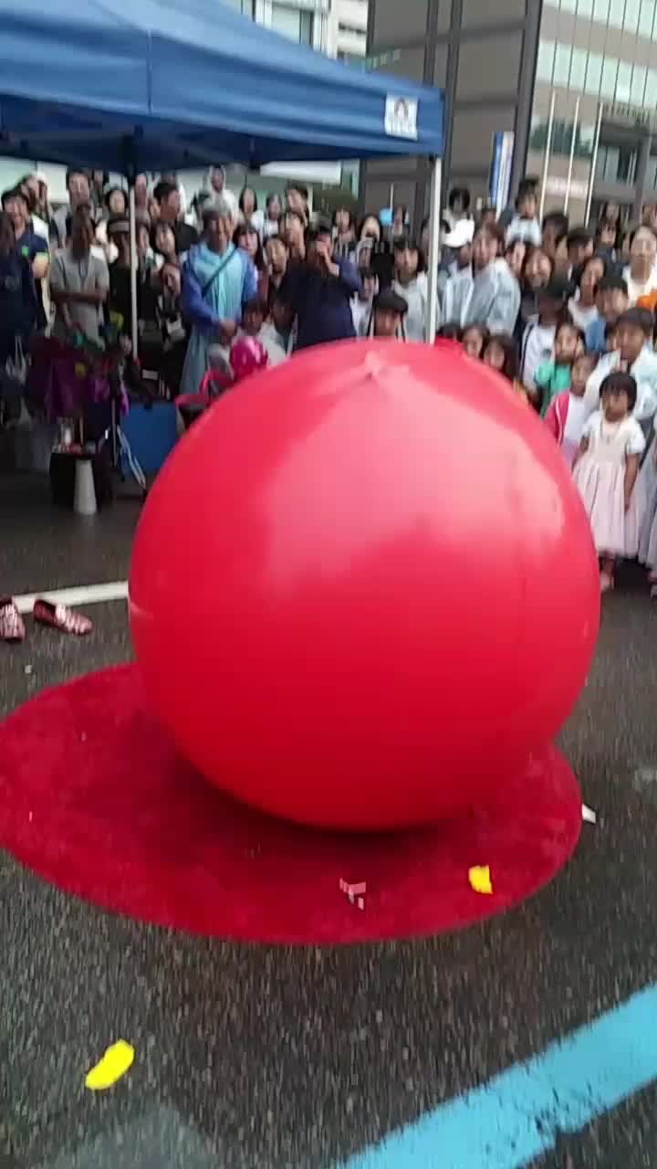 @족장이의브롤극장