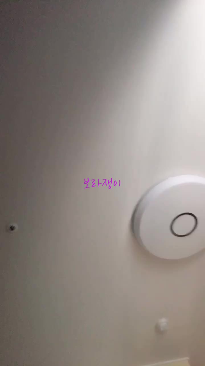 @💜보라쟁이💜