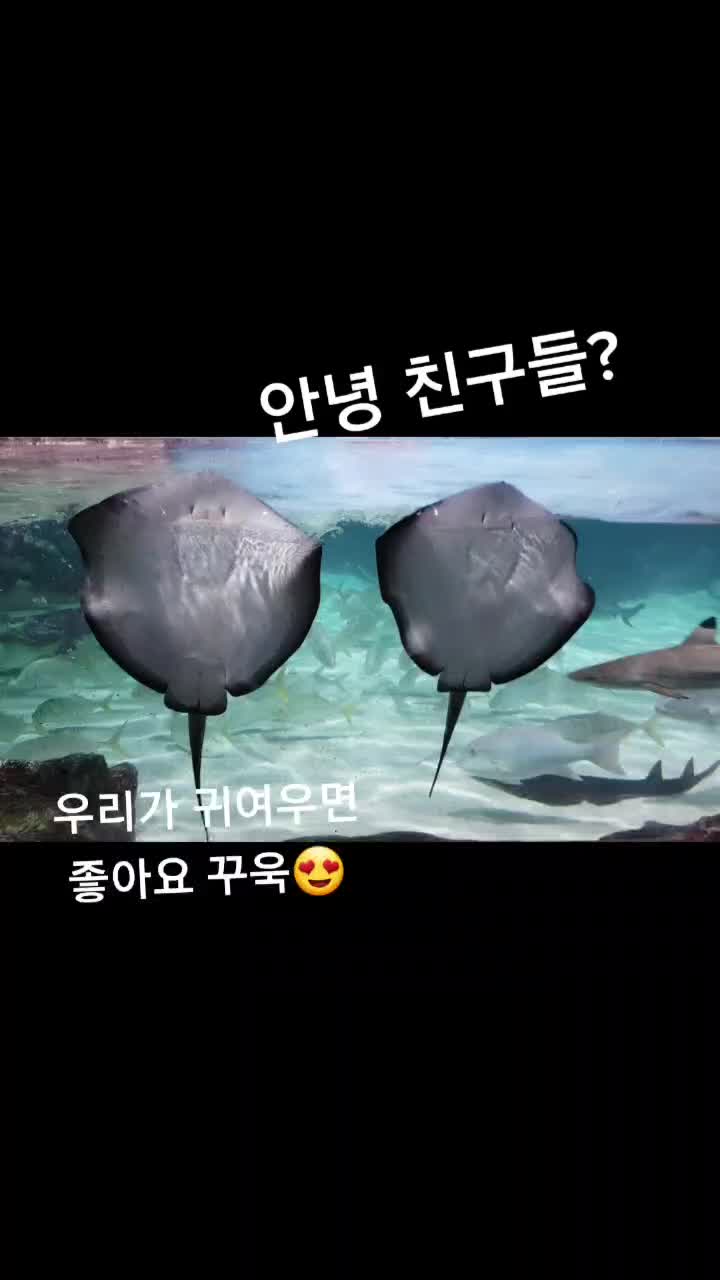 @수지큐