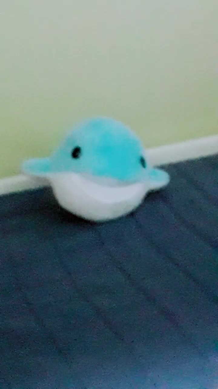 @피스peace피스peace