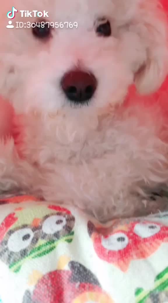 @🌟루피짱🌟