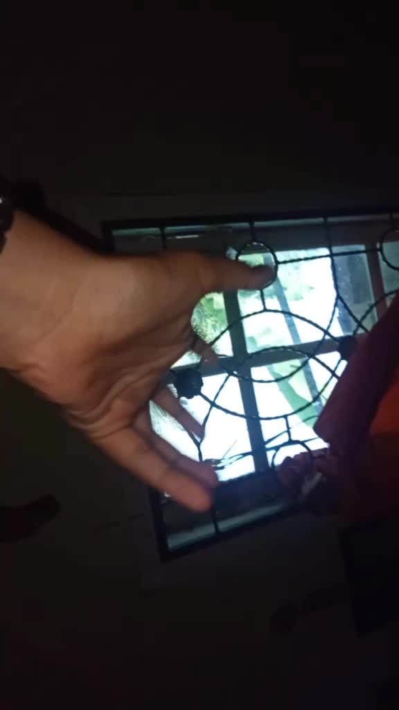 @chlaresya*