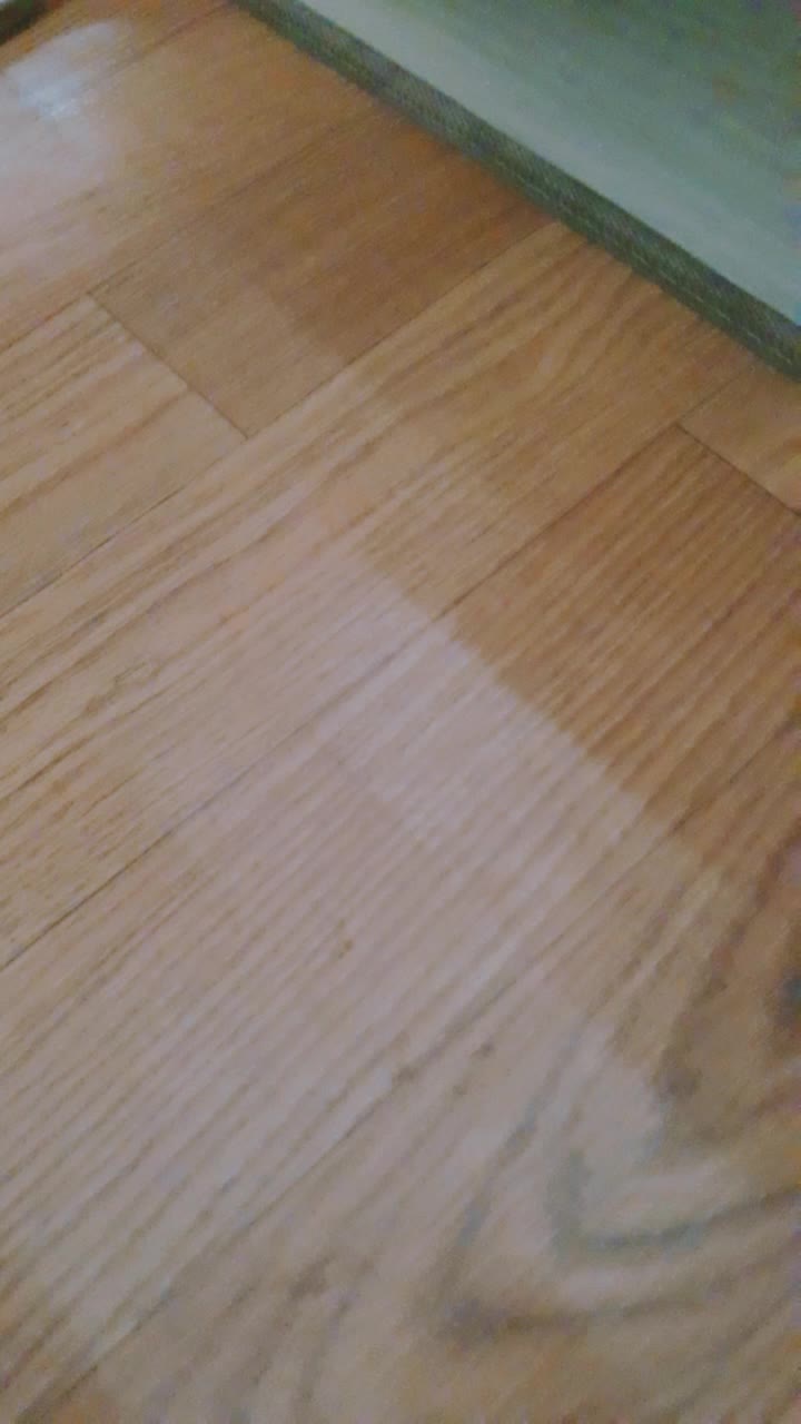 @카미키 리츠