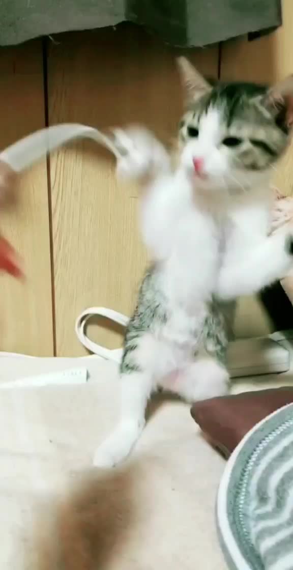 @yukako