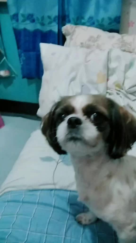 @Zyrel Delos Santos