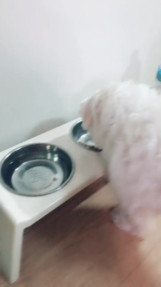 @연츄