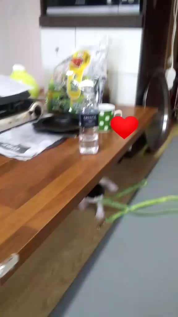 @나른한 계란💛