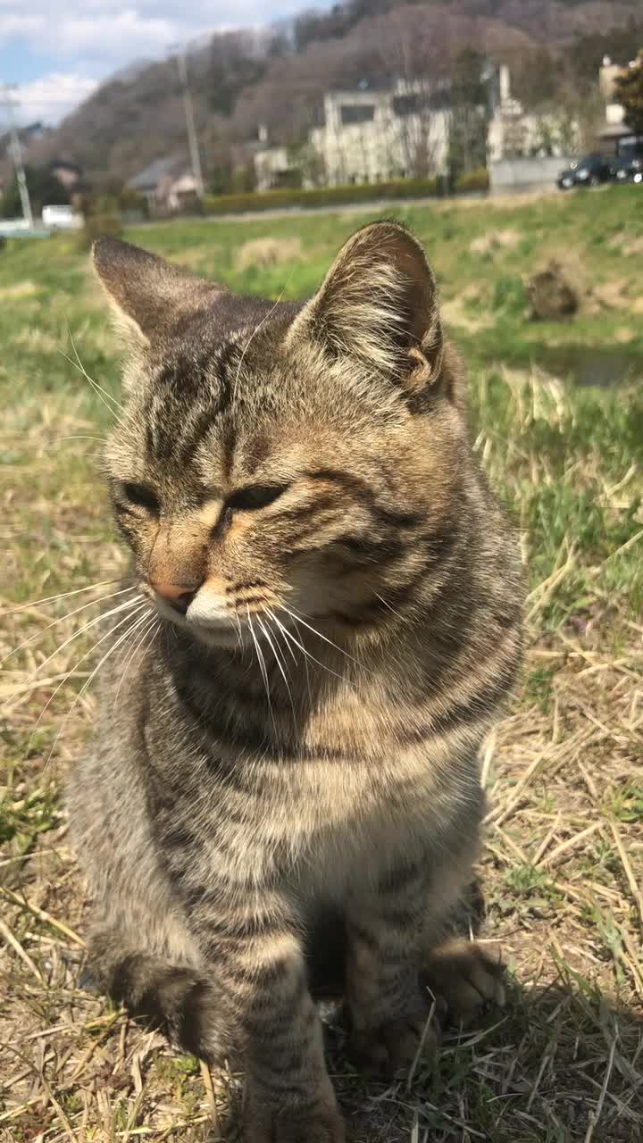 @クラゲ（:]ミ