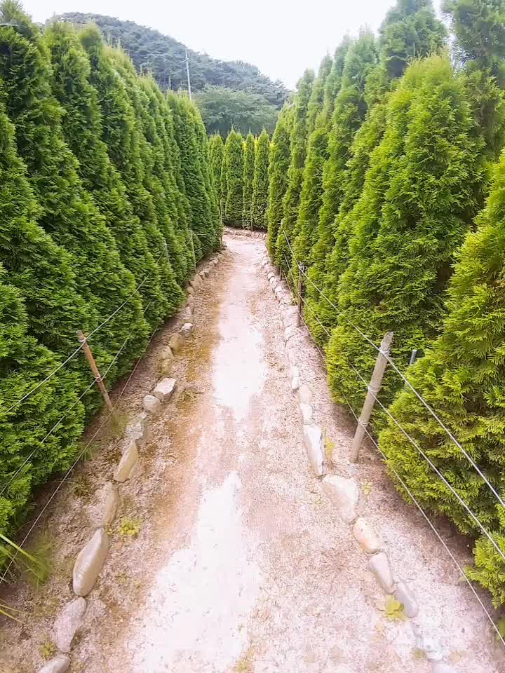 @김완곤