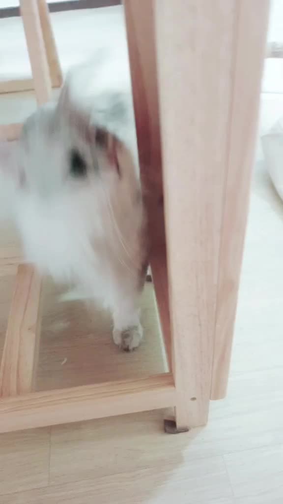 @ㅇㅅㅇ