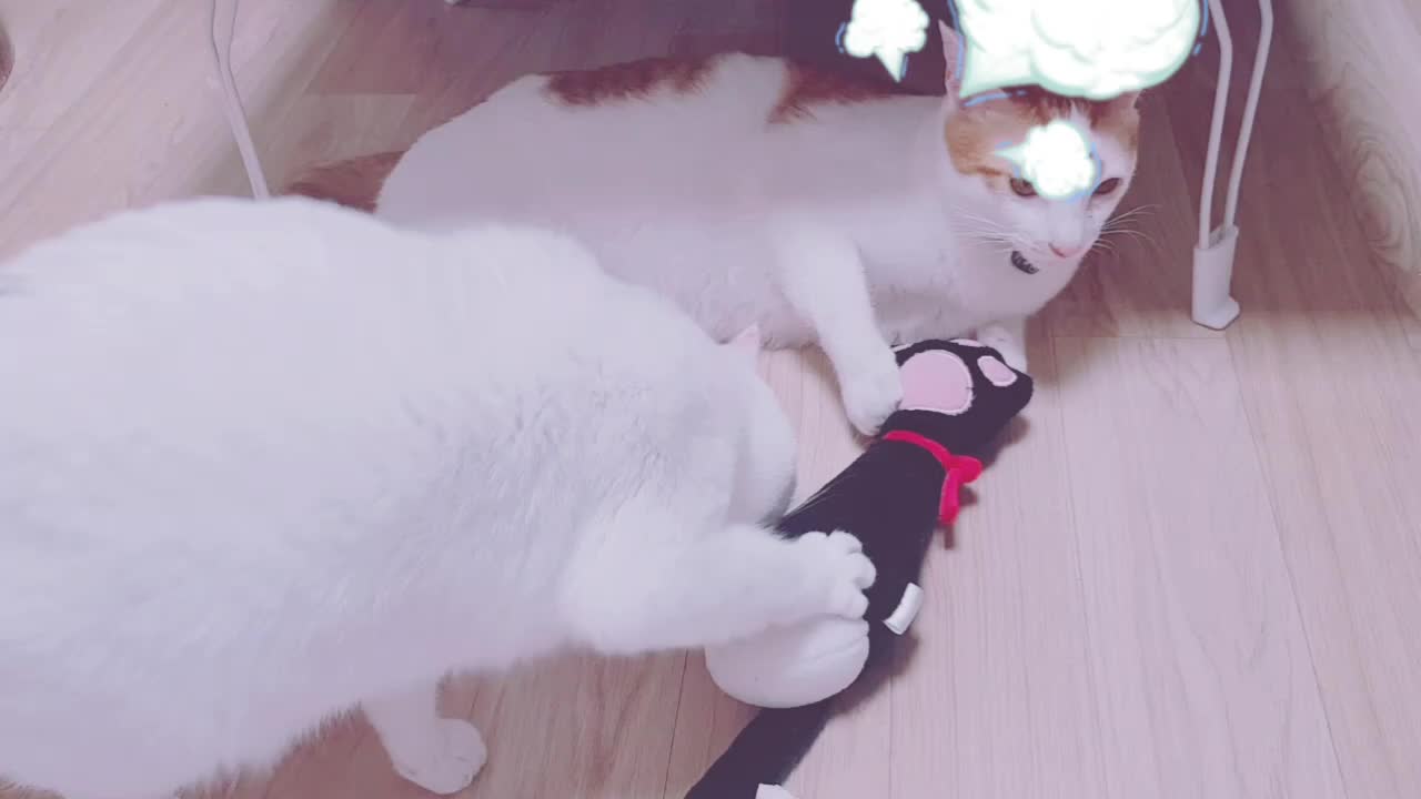 @이형균