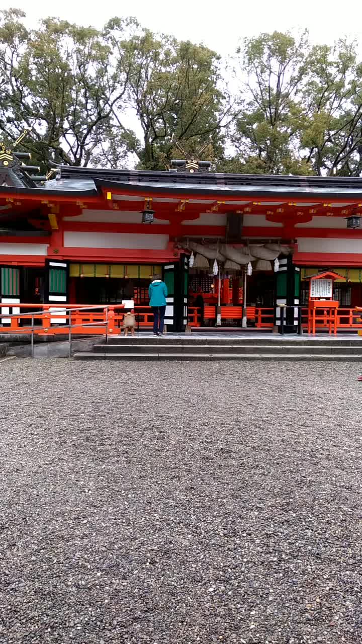 @向日葵