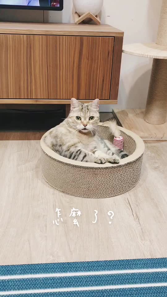 @三胖屋+1