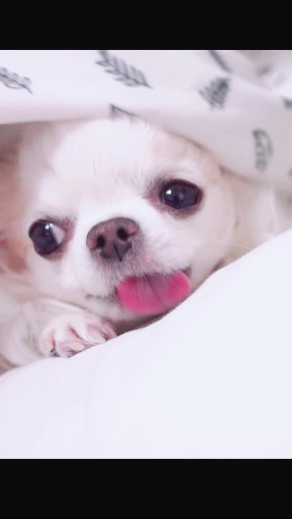 @๐์ธ์ธ์ฝ์ฝ_YouTube๐