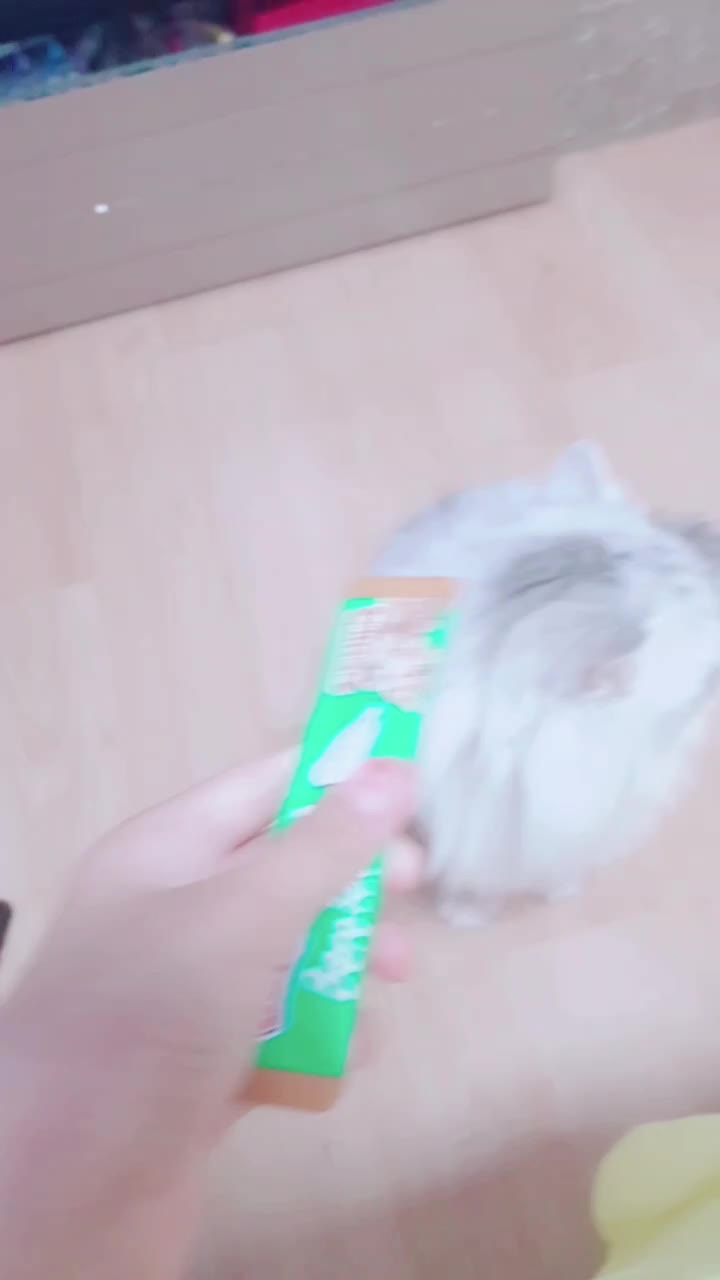 @ㅇㅅㅇ