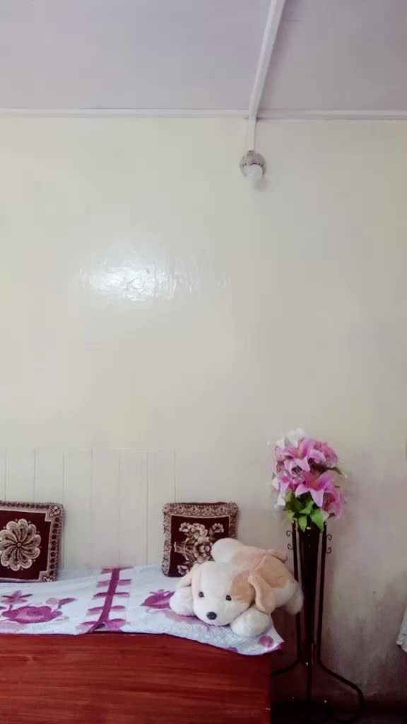 @Tulsi Devi