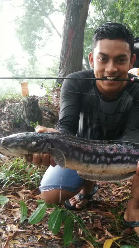 @Muhamad Daniel