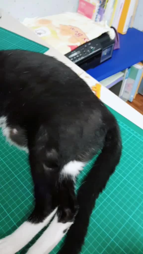 @方巧妃