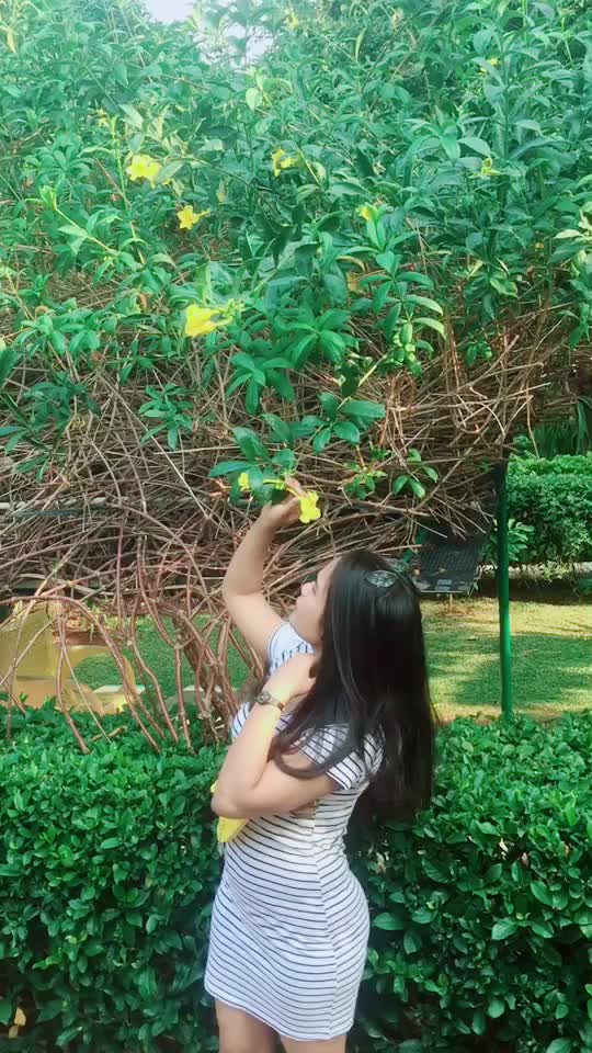 @apiwpiwww🔥