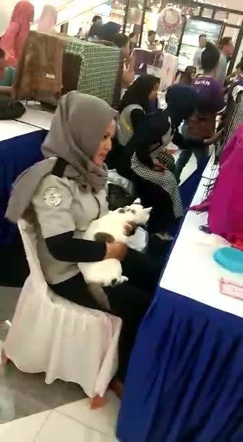 @mama meong♥️🐈🇮🇩🇲🇾_acro