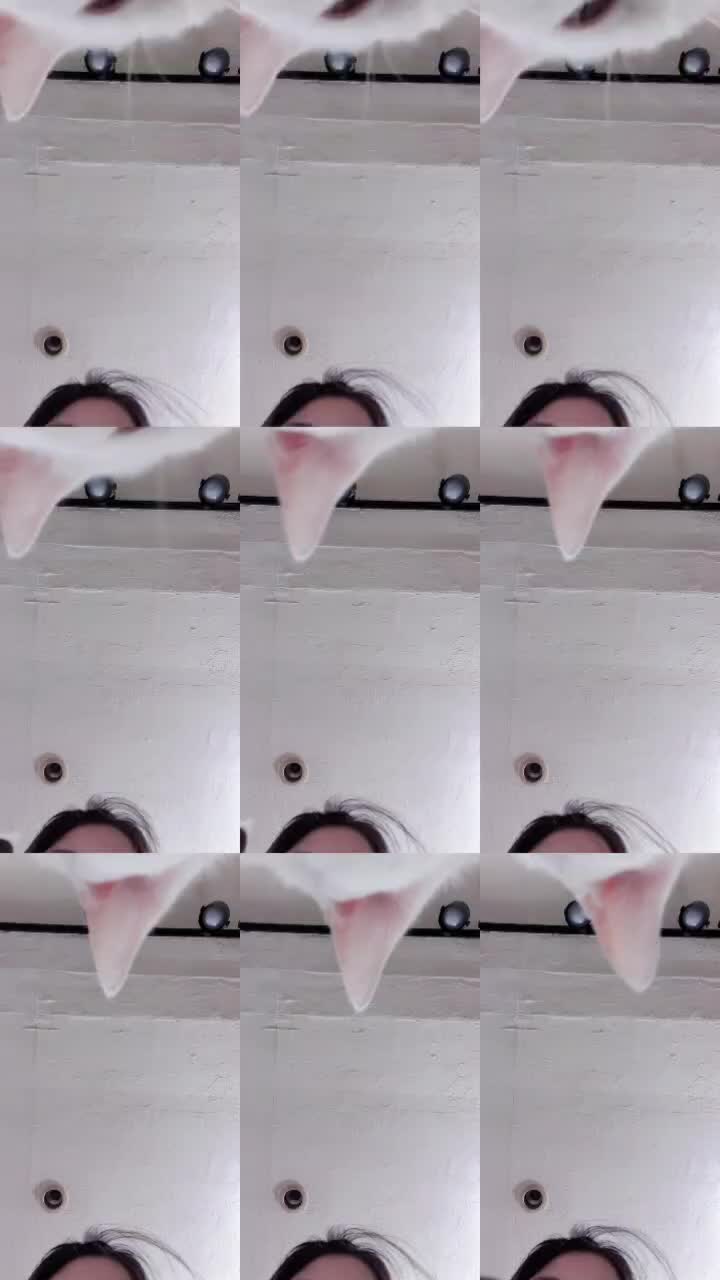 @코이