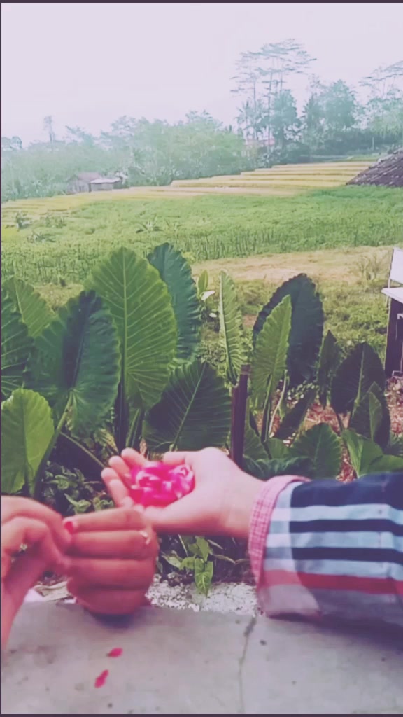 @lena🍇🧃