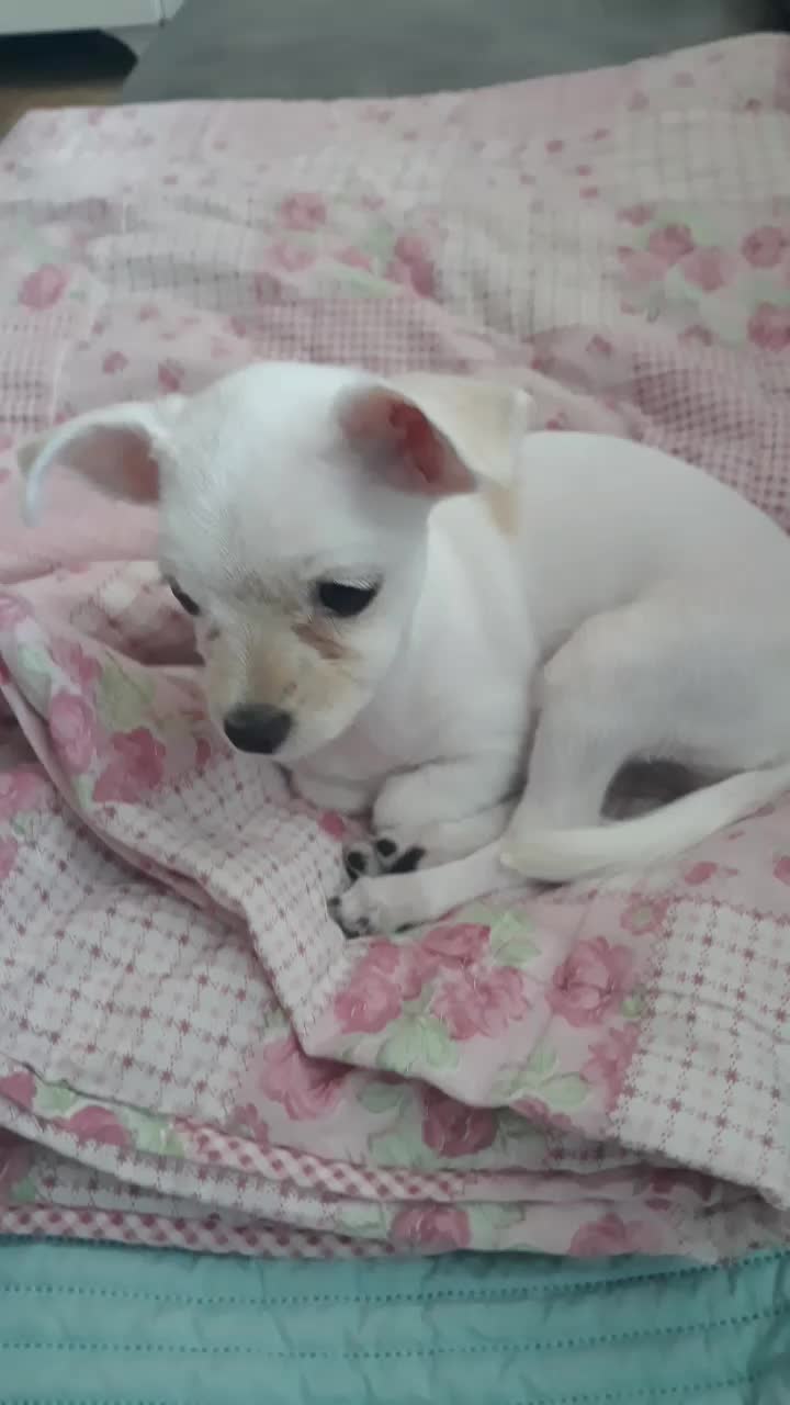 @라훈
