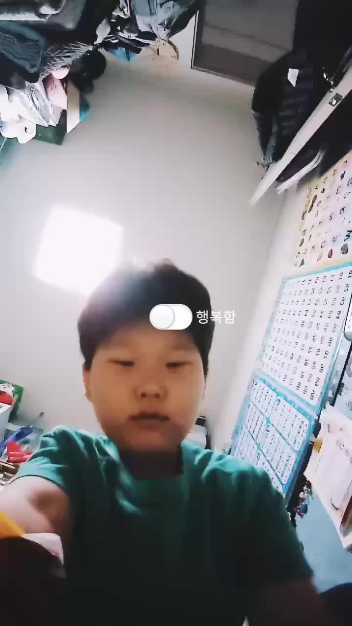 @홍장미