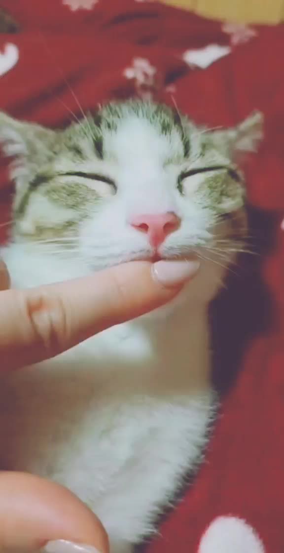 @yukako