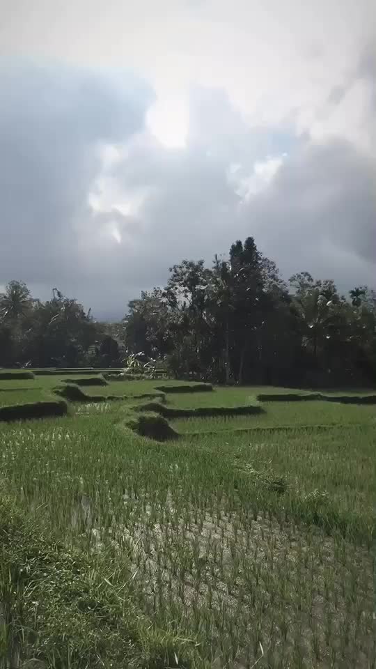 @Ditak Kurnia