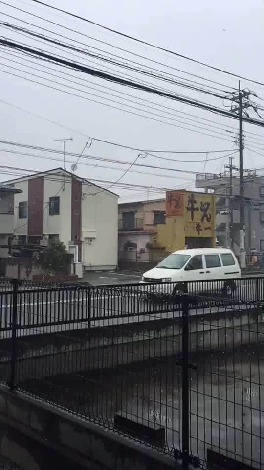 @草