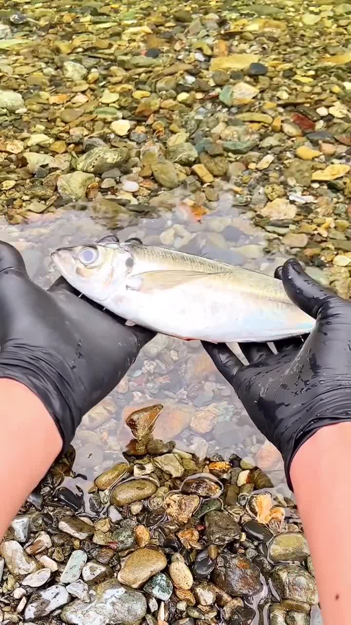 @バーソロミュー・ブック🏞川クック