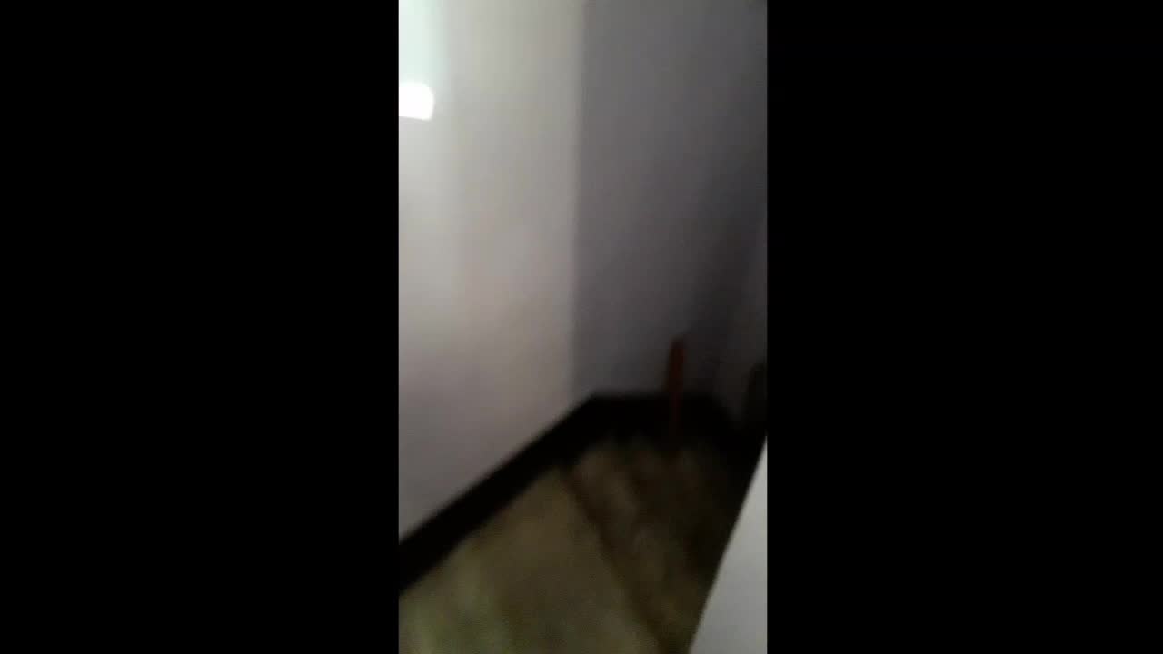 @피스peace피스peace
