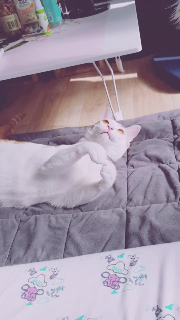@이형균