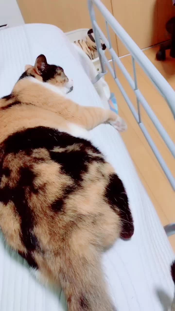 @ゆき