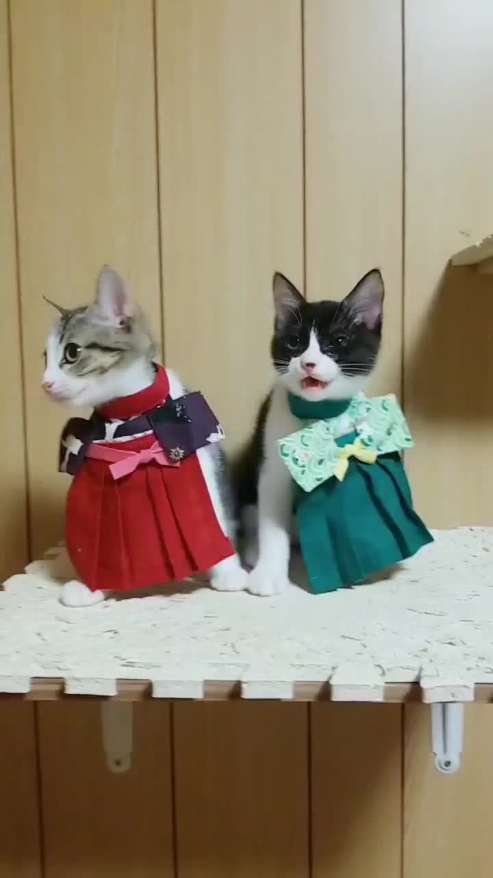 @yukako