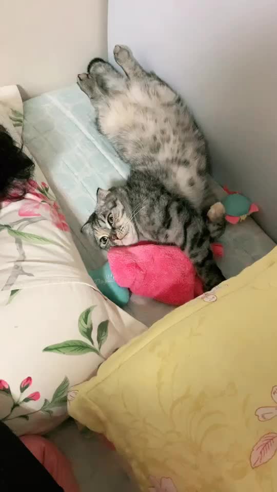 @가미가미