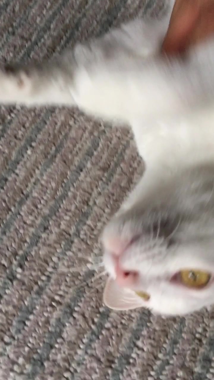 @ゼットン