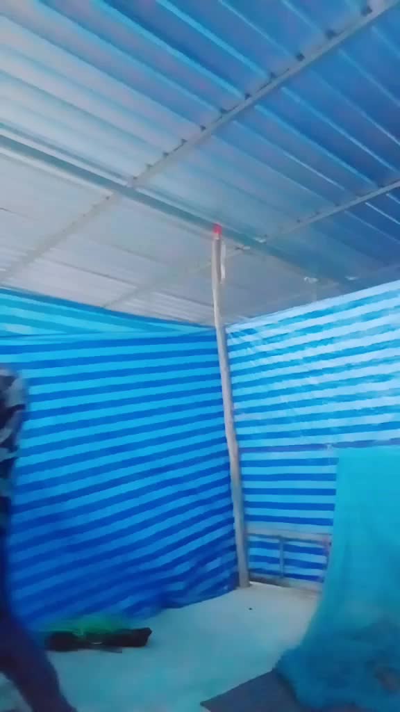 @ស្ករ កៅស៊ូ